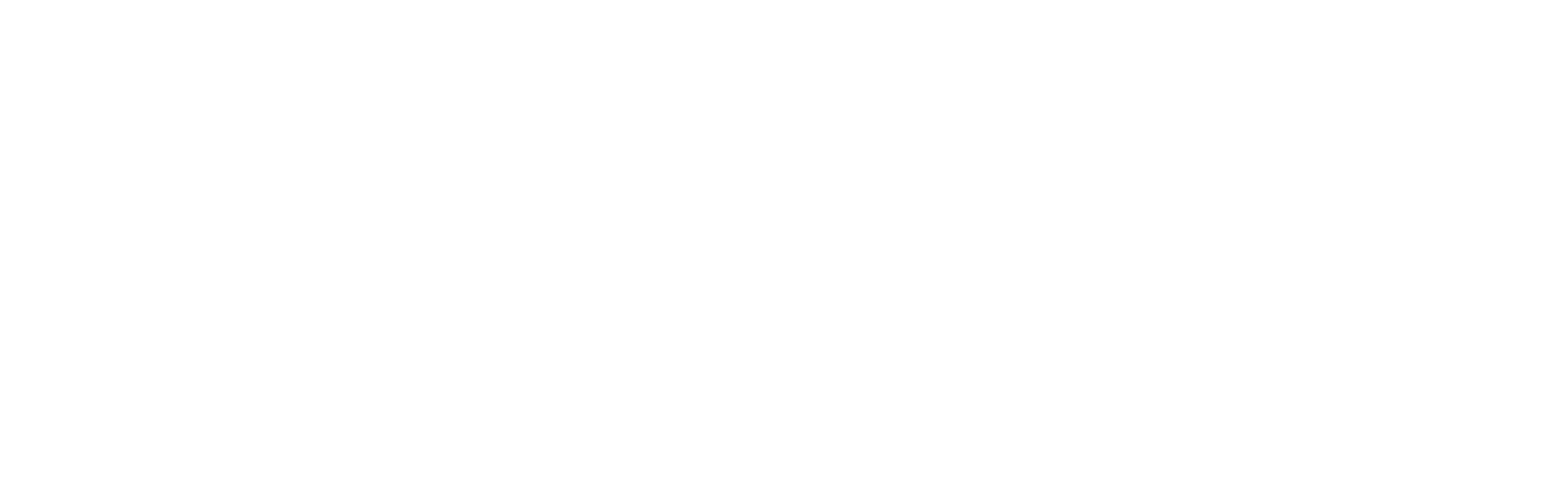 Ottur Logo